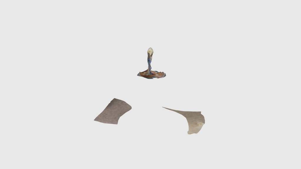 LOWERY_3D EXERCISE #11_CHERT 8LLLSCANIVERSE