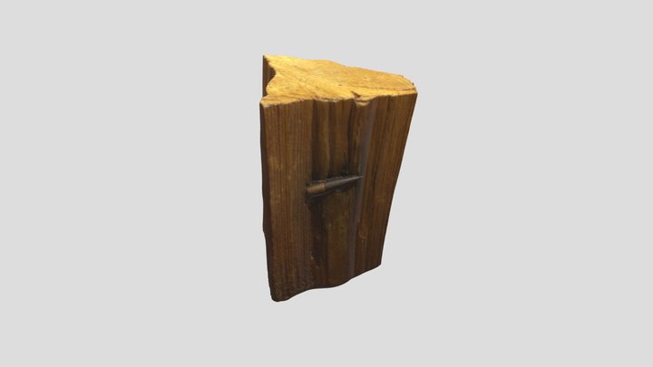 Полено с пулей 3D Model