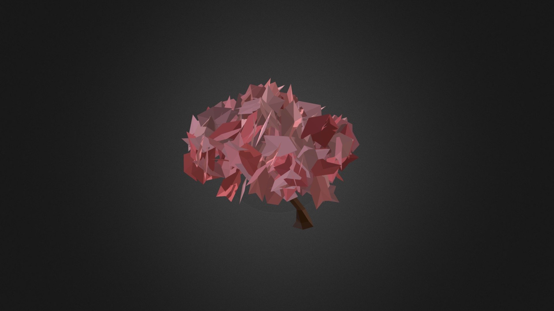 Sakura Tree