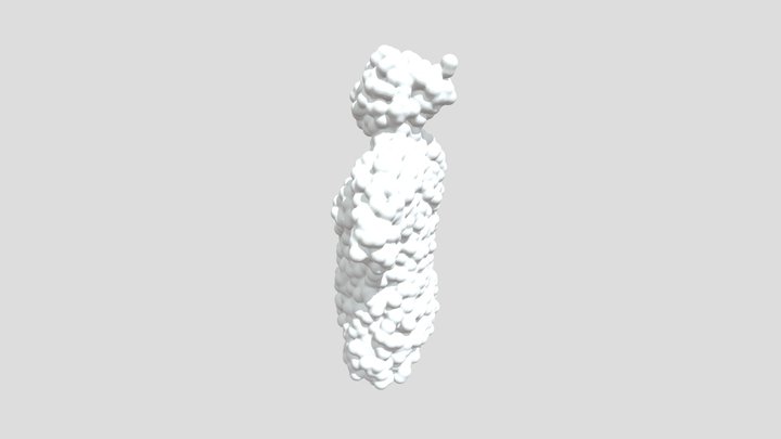 RANDOM PRIMITIVE SURFACES BODY 3D Model