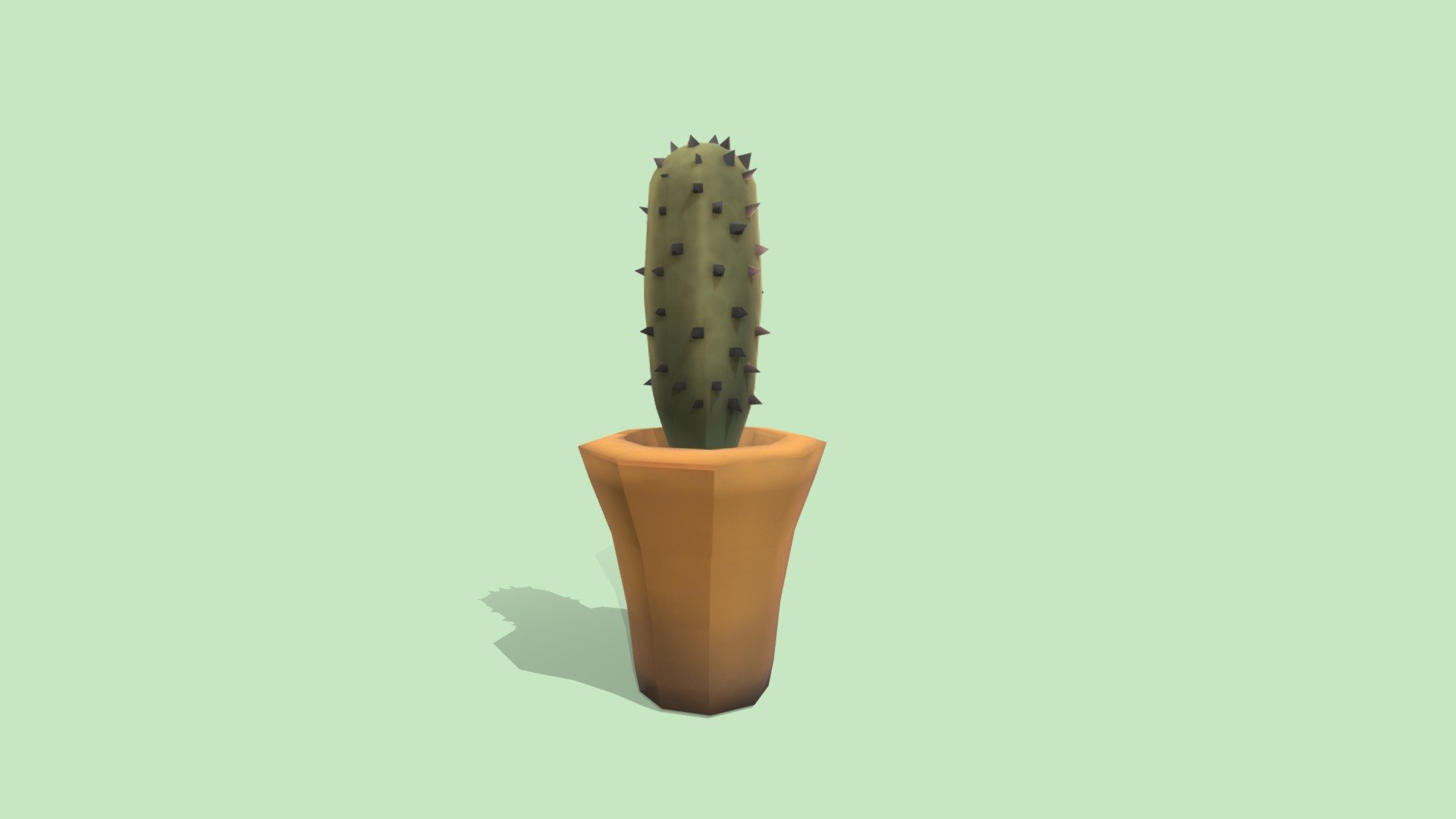 Potted Cactus