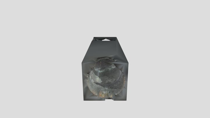 mesh_Model_7 3D Model