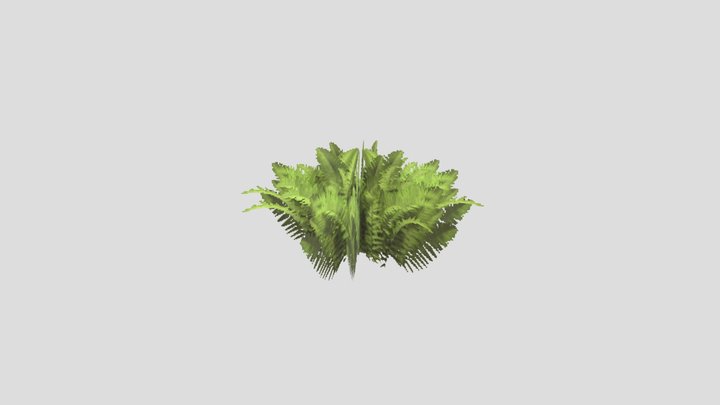 Bush 3D Model