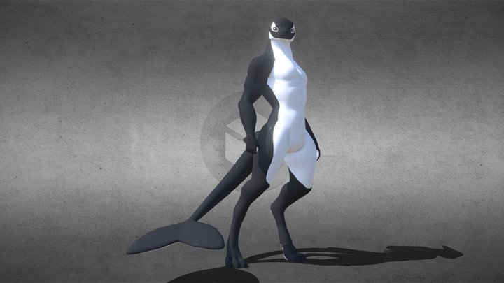 Orca (updated version) 3D Model