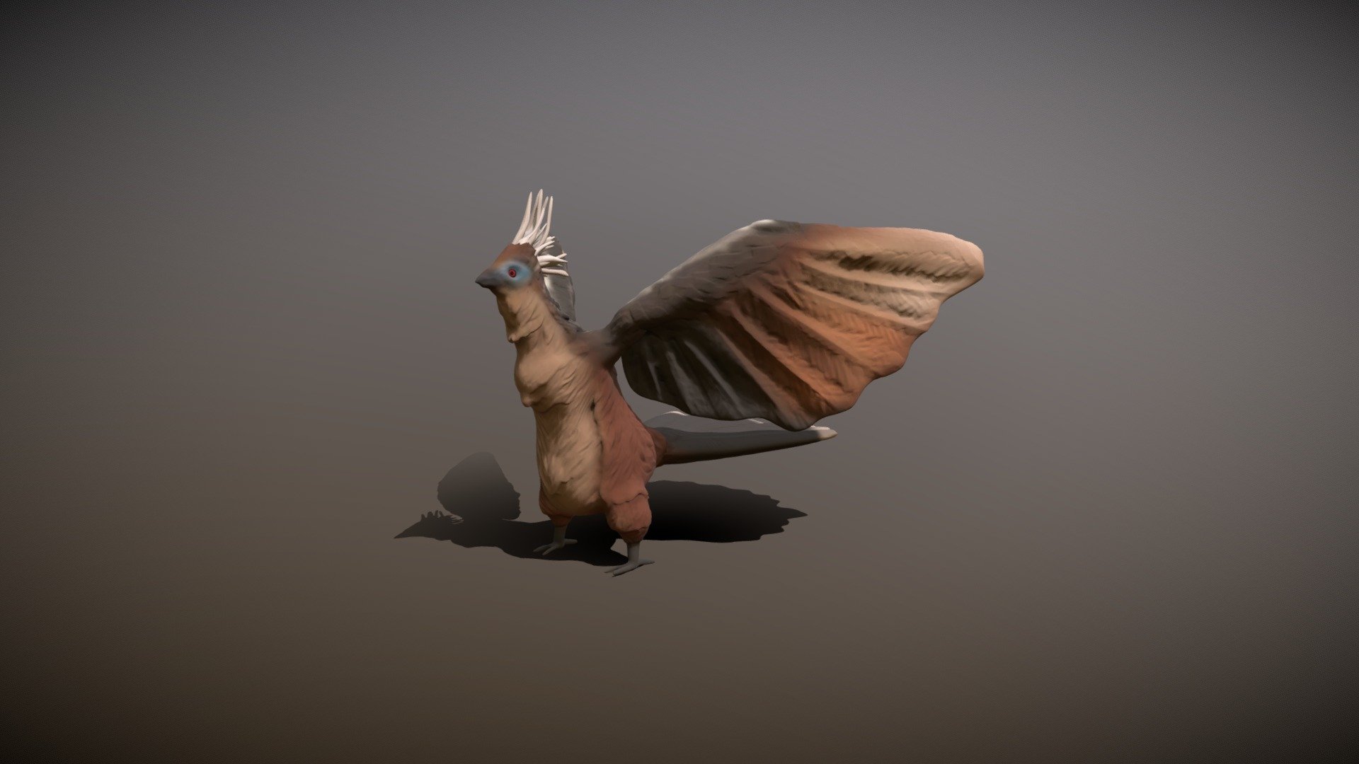 hoatzin