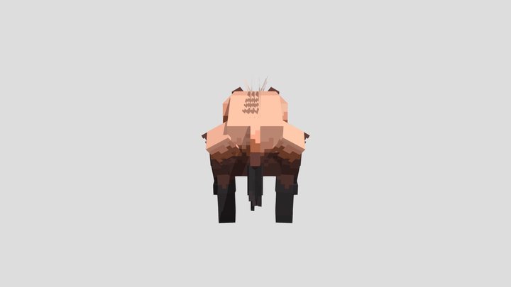 Boar Study 3D Model