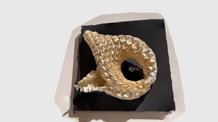 Messums paper swirl 3D Model