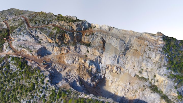 Poda Nulto Stanje Simplified 3d Mesh 3D Model