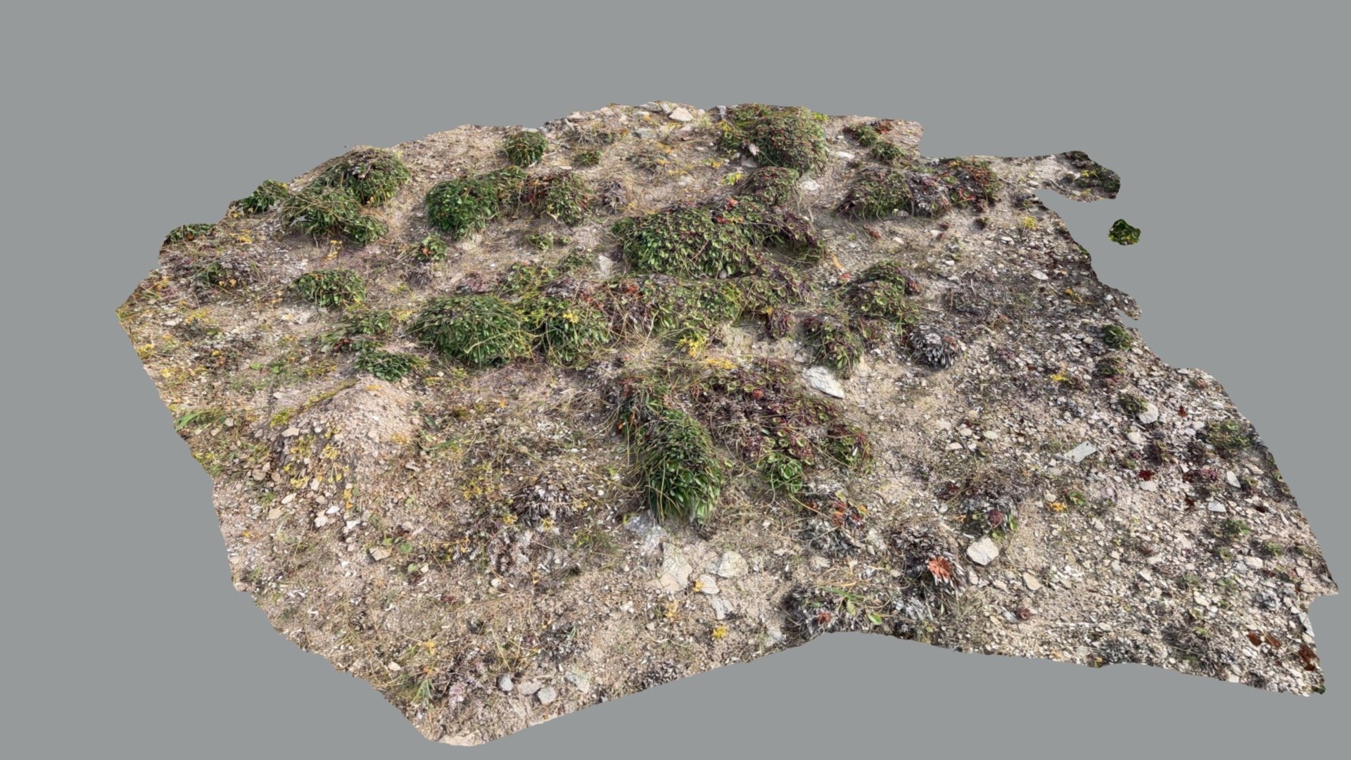 Beach-rocks13