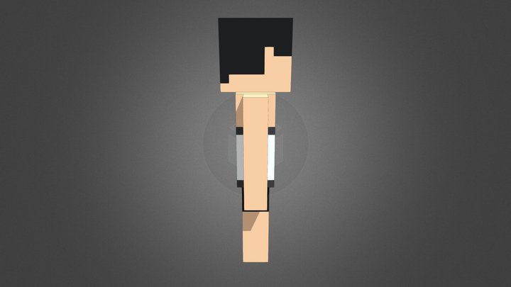 The Blockhead