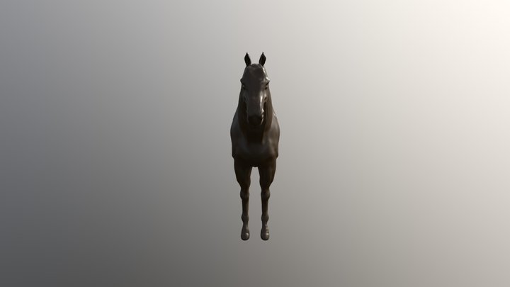 Horse 3D Model