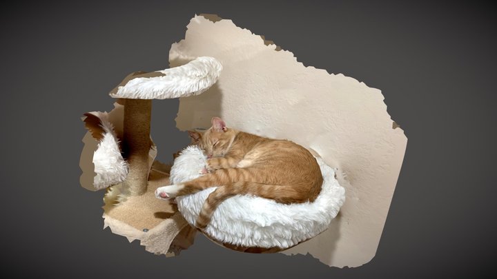 Ragnar the Cat 3D Model