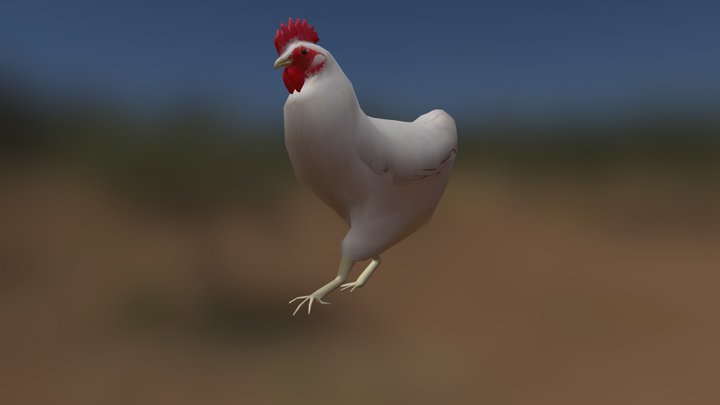 White Chicken 3D Model
