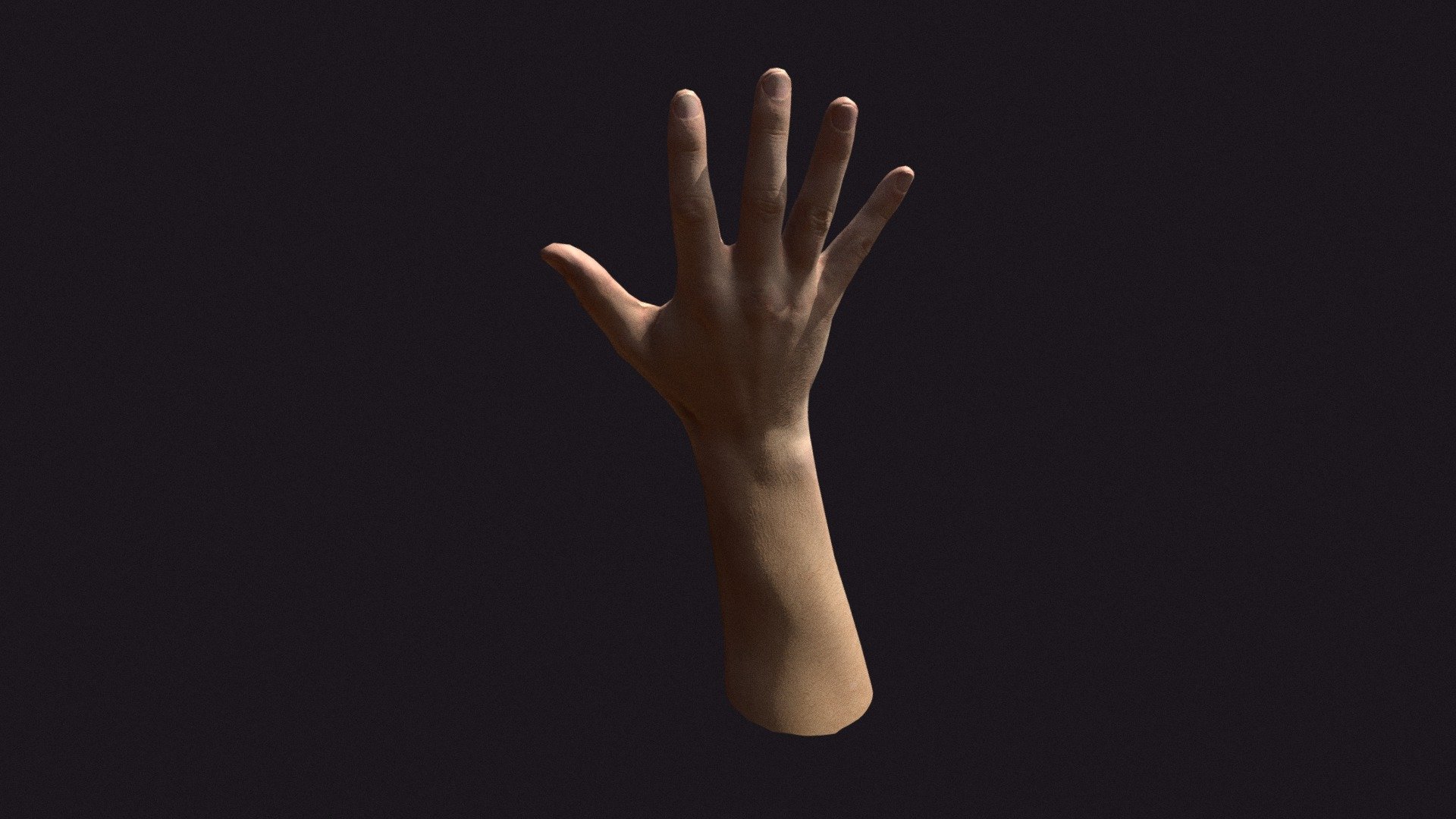 Man hand low poly model