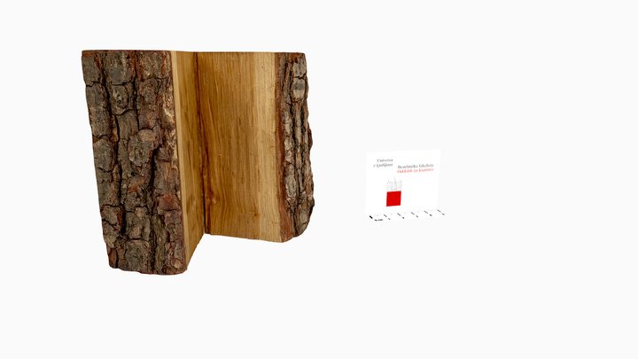 *Quercus* sp. - Oak - hrast 3D Model