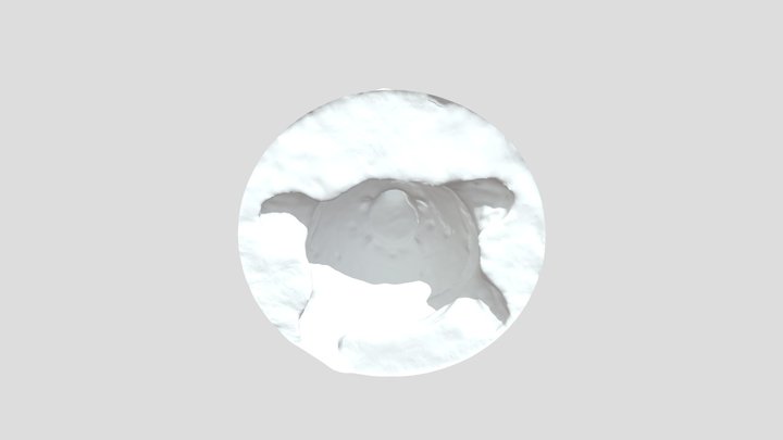 Turtle Miniature-poly (STL) 3D Model