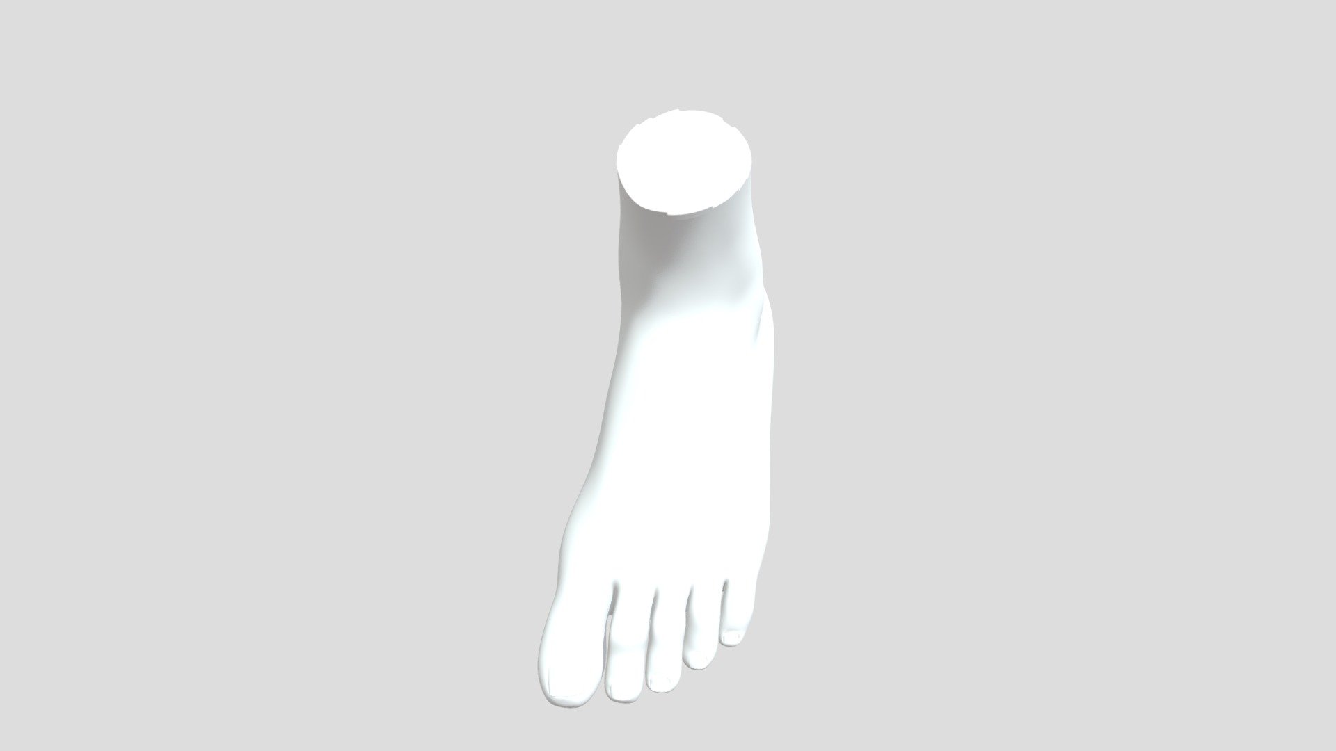 Feet 3D model by Xinyi (Xinyi112) [608c1f2] Sketchfab