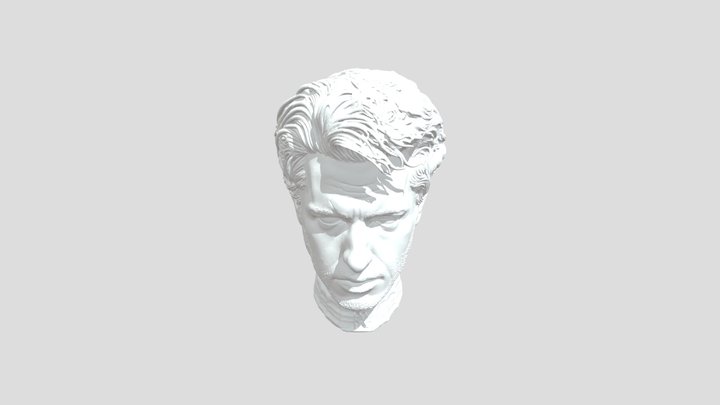 Sculpted Vision 3D Model