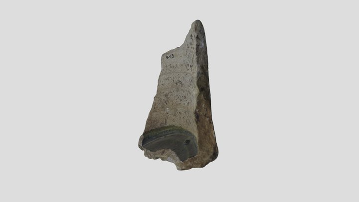 Arch Teaching Pack 4.13 3D Model