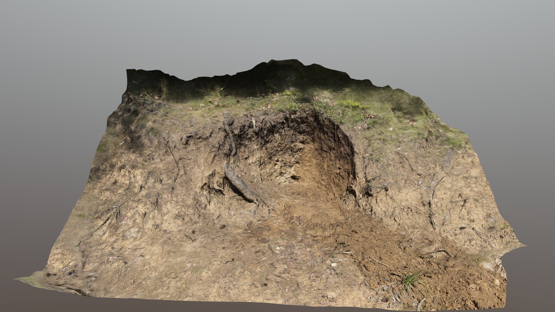 Triple Junction - Lab 2 SOIL 466 (2)