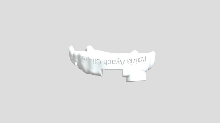 Daslavs Endo Guide 3D Model