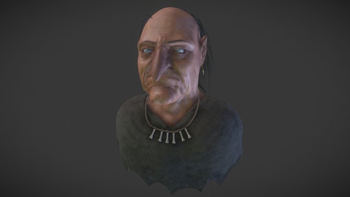 Old Witch Bust 3D Model