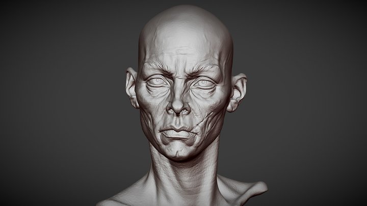 Head 7 from Heads Bundle 1 3D Model