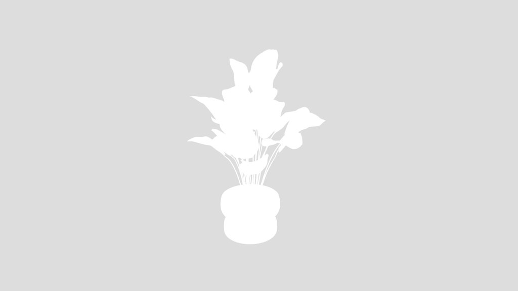 Indoor Plant Cuban Cigar