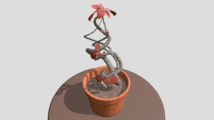 Plant Project 3D Model