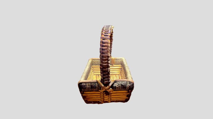 Polycam basket 3D Model