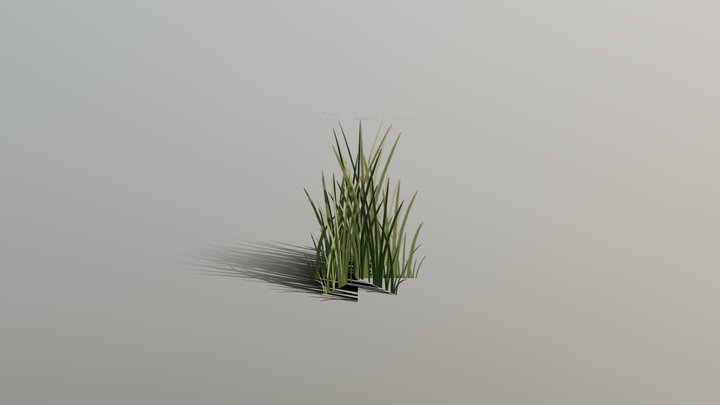 GameReady Grass 3D Model