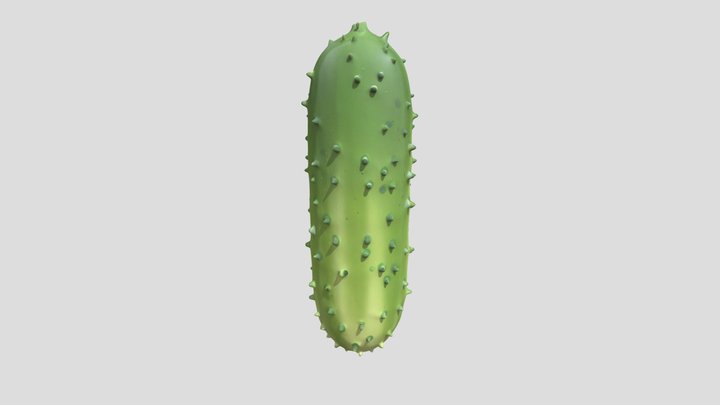 Cucumber 3D Model