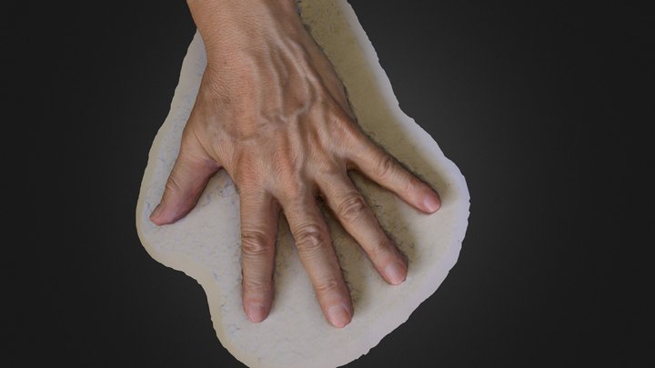 hand 3D Model