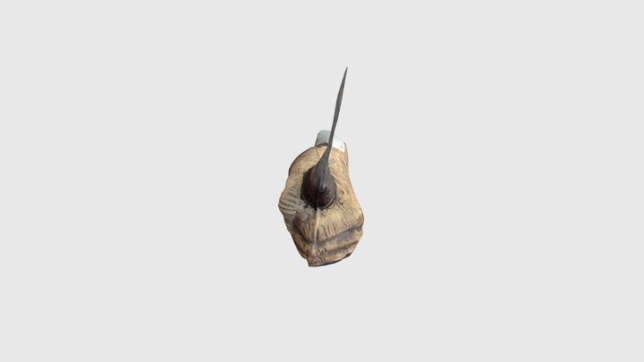 Poop 3D Model