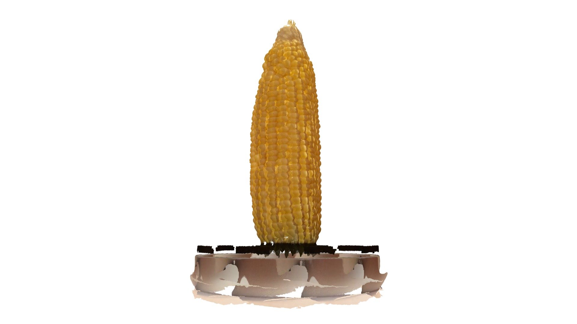 Peeled Corn Point Cloud