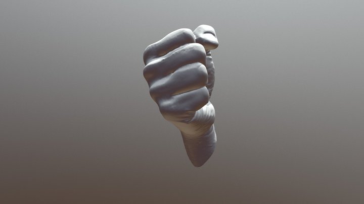 Scan23 Dprint- Hand - Rock 04-10-2018 3D Model