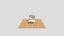 Loading 3D Model