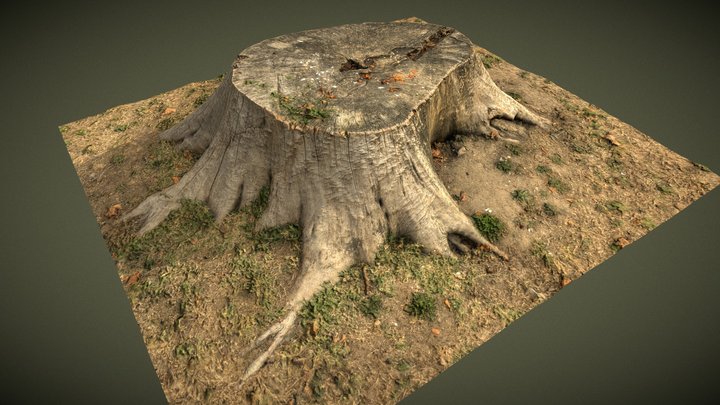 Tree Stump 1 3D Model