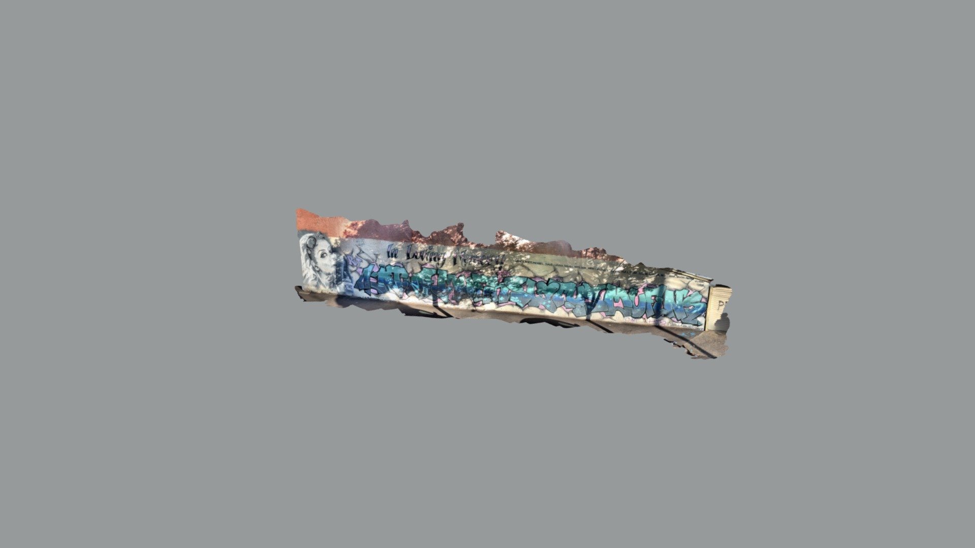 Scaniverse Model