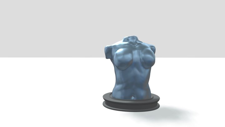 Womens Chest 3D Model