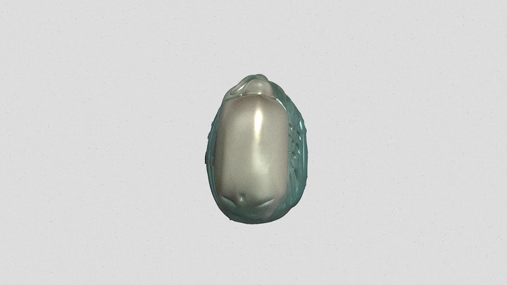 Scarabeo Cavallo Prova Fbx Sketch 3D Model