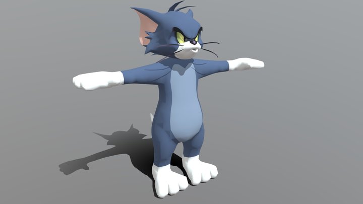 Tom 3D Model