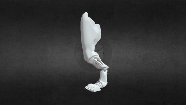 Animal Leg 2 3D Model