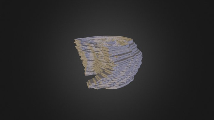Sudanensis - Remaining Tissue 3D Model