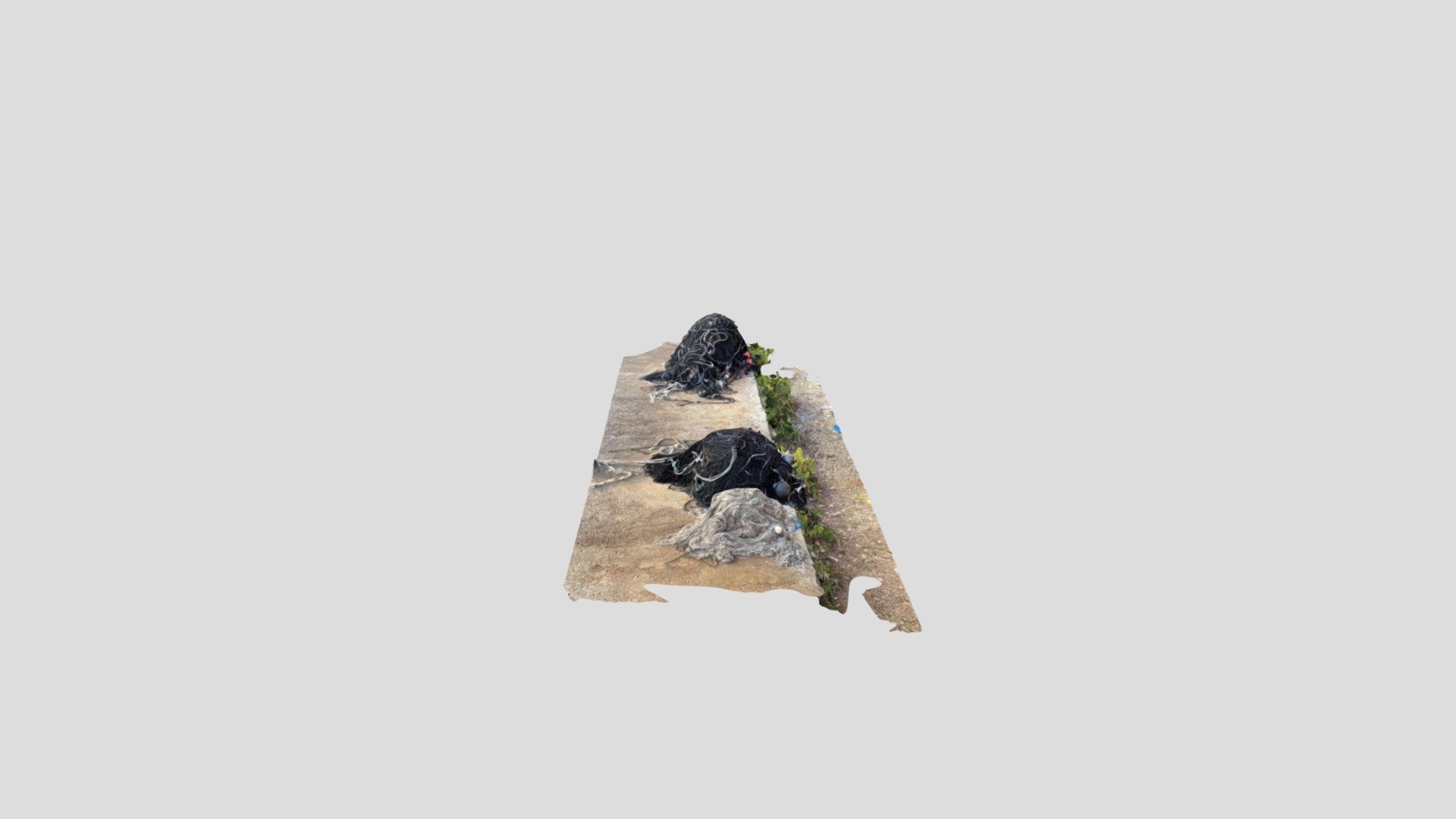 Polycam capture