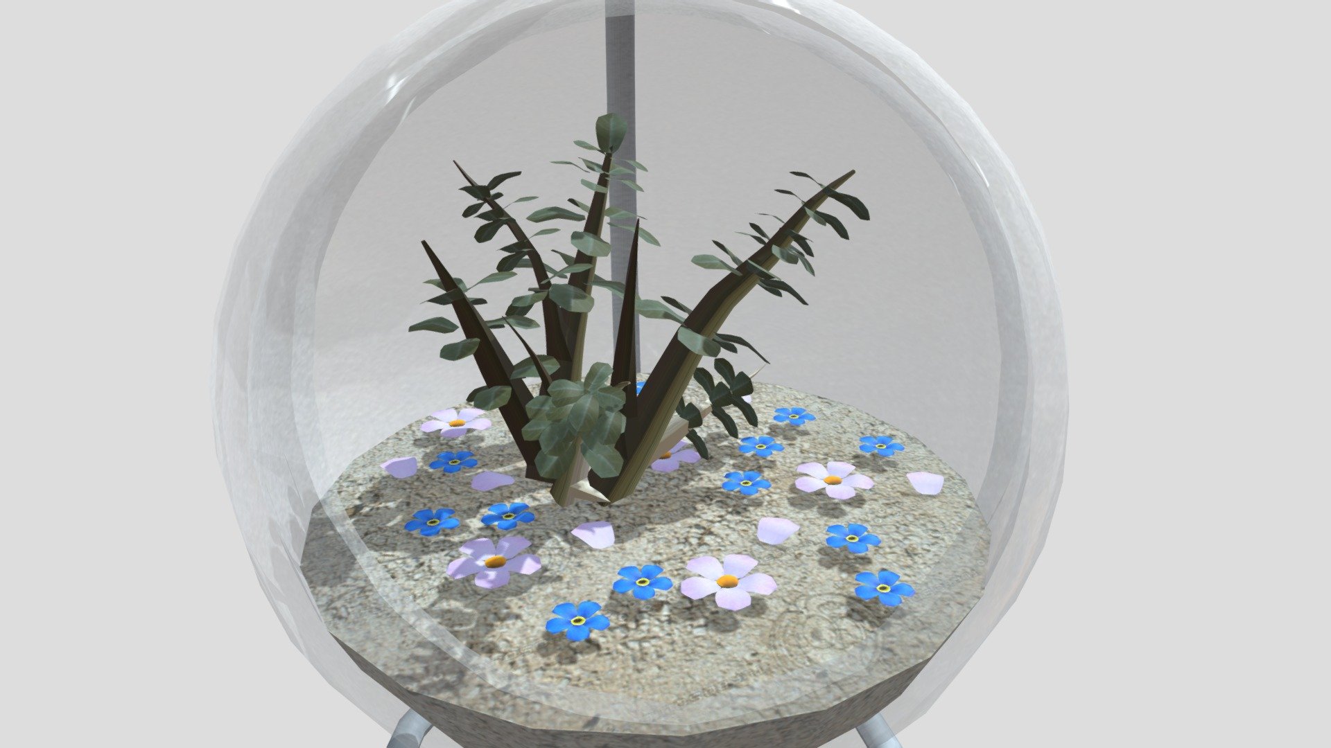 Plant