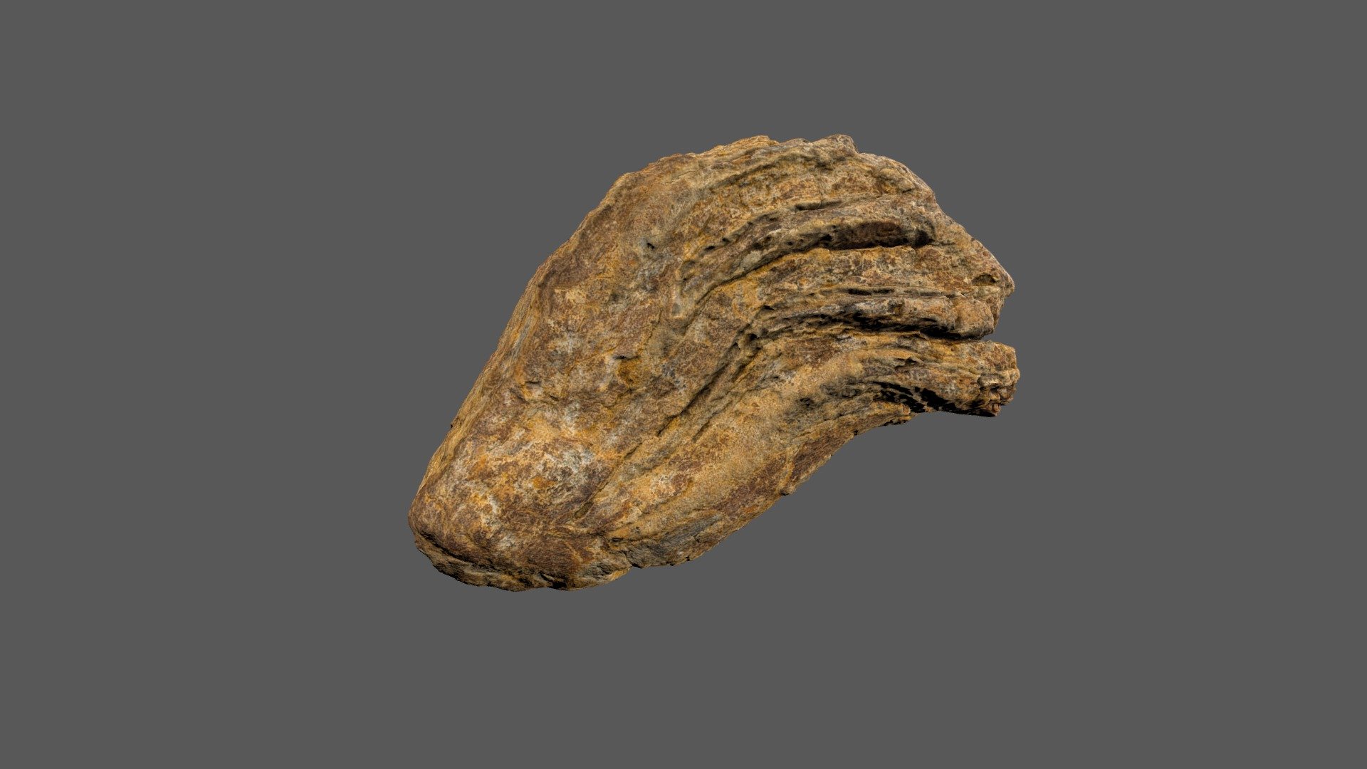 Prehistoric Straight-Tusked Elephant Tooth - 3D model by HistoryStories ...
