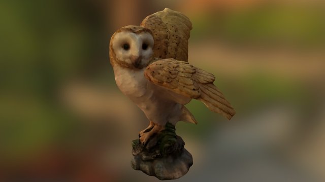 Barn Owl 3D Model