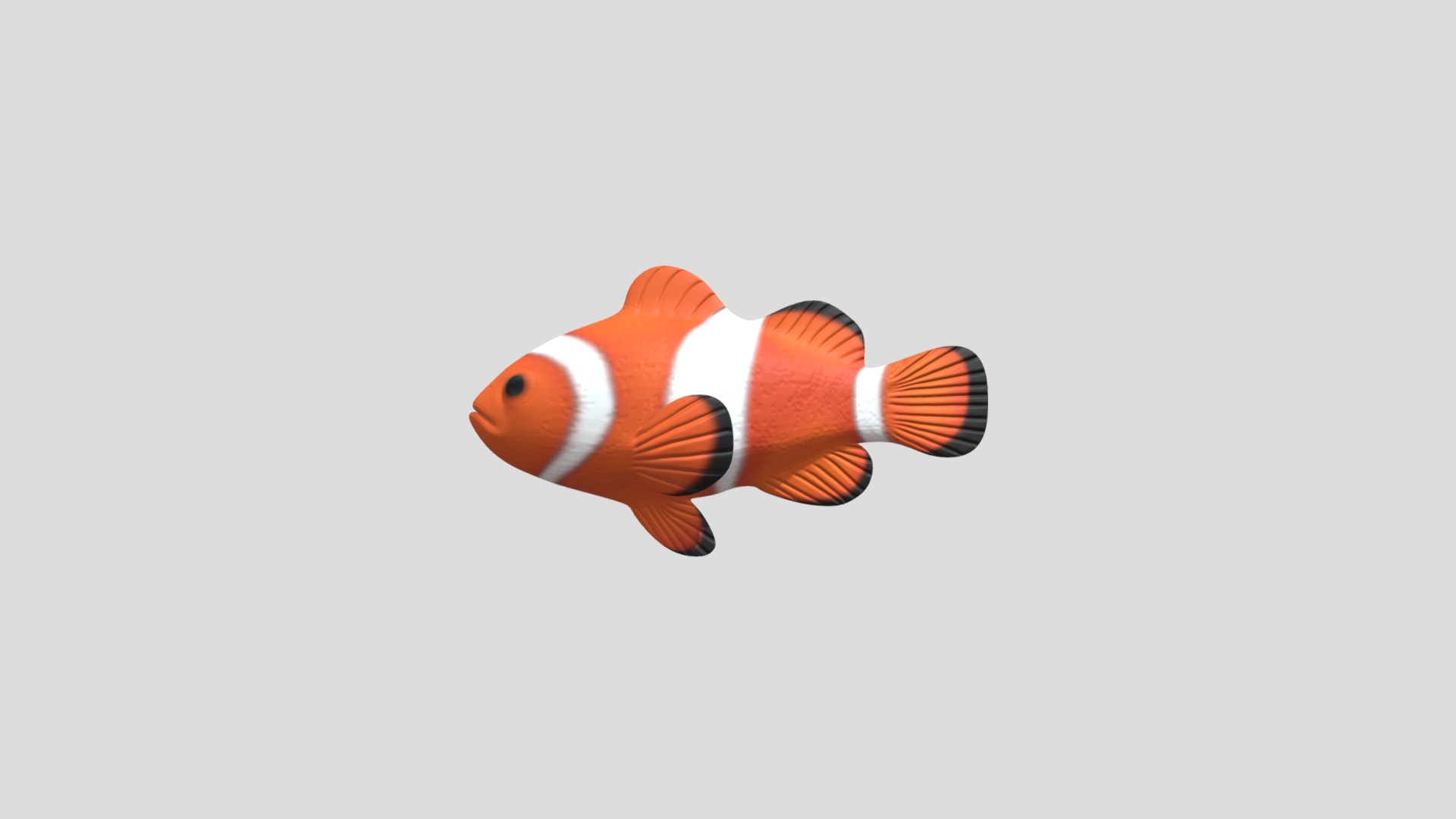 3D model Clownfish - This is a 3D model of the Clownfish. The 3D model is about a fish with a long tail.