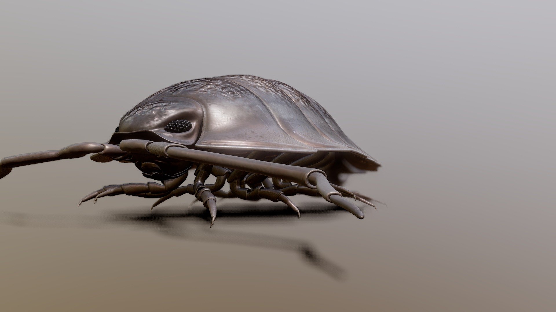 Roly Poly Download Free 3d Model By Arachnoboy Vang807 60be580